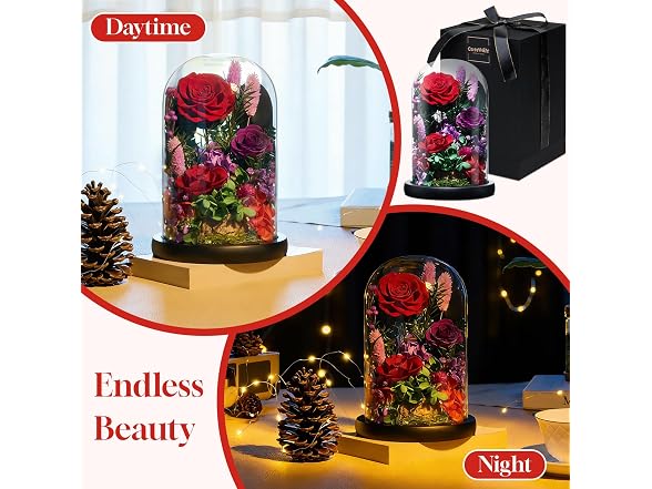 CuteWelt Preserved Roses