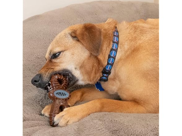 SPOT Bam-Bones Dental Pacifier Dog Chew Toy, Bison