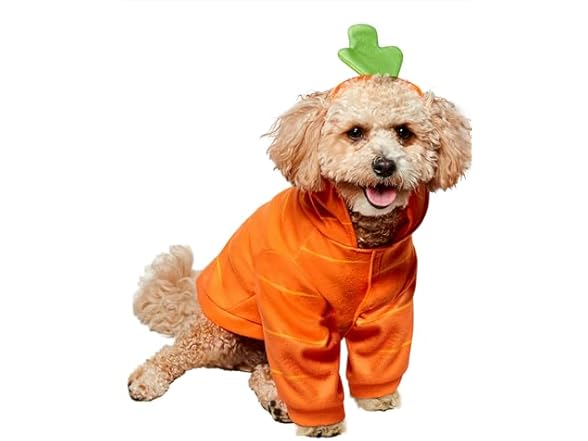 Rubies Carrot Pet Costume for Dogs or Cats, Medium