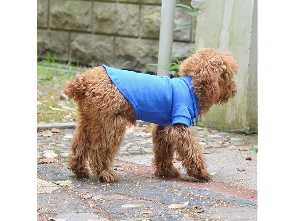 lovelonglong Basic Dog Polo Shirts Premium C