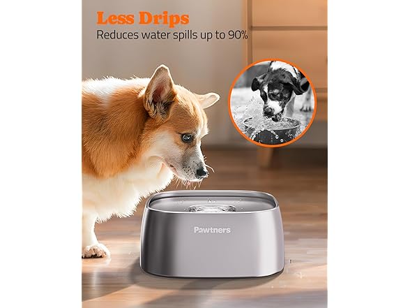 Pawtners W0766 Dog Water Bowl No Spill Sliver