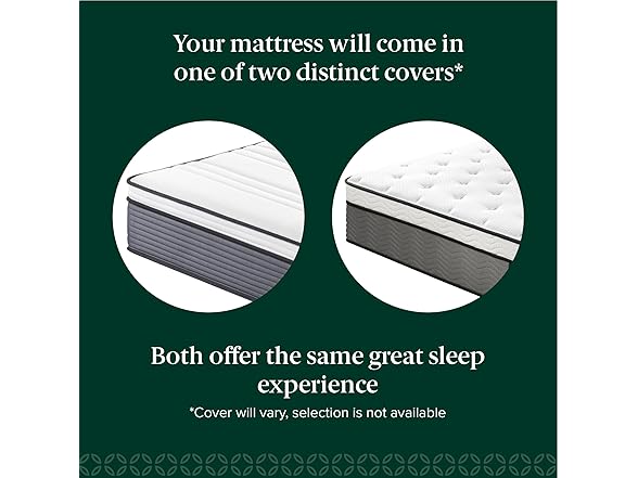 ZINUS 12" (New Version) True Support Hybrid Full Mattress