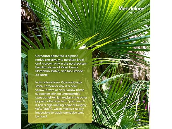 MENDELEEV STYLE 17 Oz Carnauba Wax Flakes