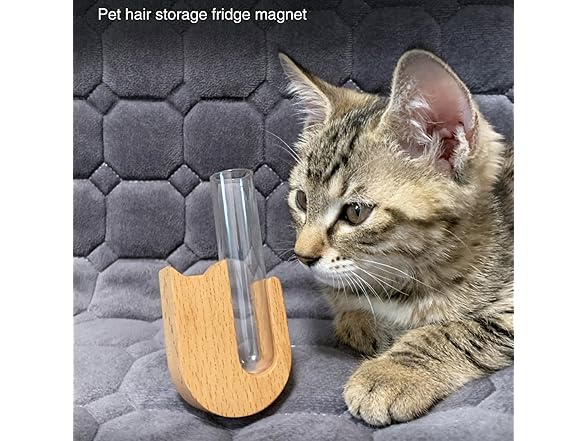 SPNDOB Petite Glass Cat Whisker Collector 2PK