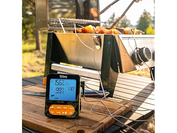 Taylor TruTemp Dual Probe Thermometer