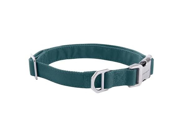 Carhartt Field Dog Collar, Fully Adjustable Greenstone, Med