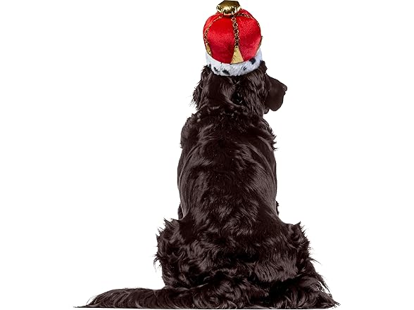 Rubies King Pet Crown for Dogs or Cats, S/M