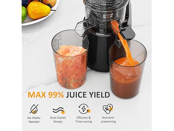 SUNVIVI Cold Press Juicer