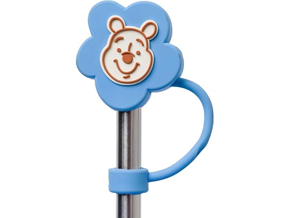 Disney Winnie the Pooh Spring, Stainless Steel 24oz