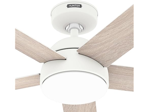 Hunter Fan 52 Inch White Indoor/Outdoor Ceiling fan - Gallery 6