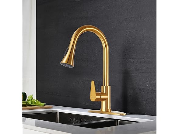 Rainovo Kitchen Faucet with Pull Down Sp