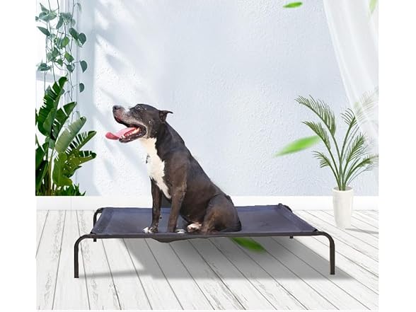 POLI PETS Elevated Dog Bed Medium Size