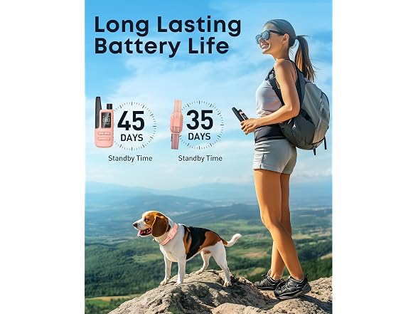Jugbow Dog Shock Collar with Remote