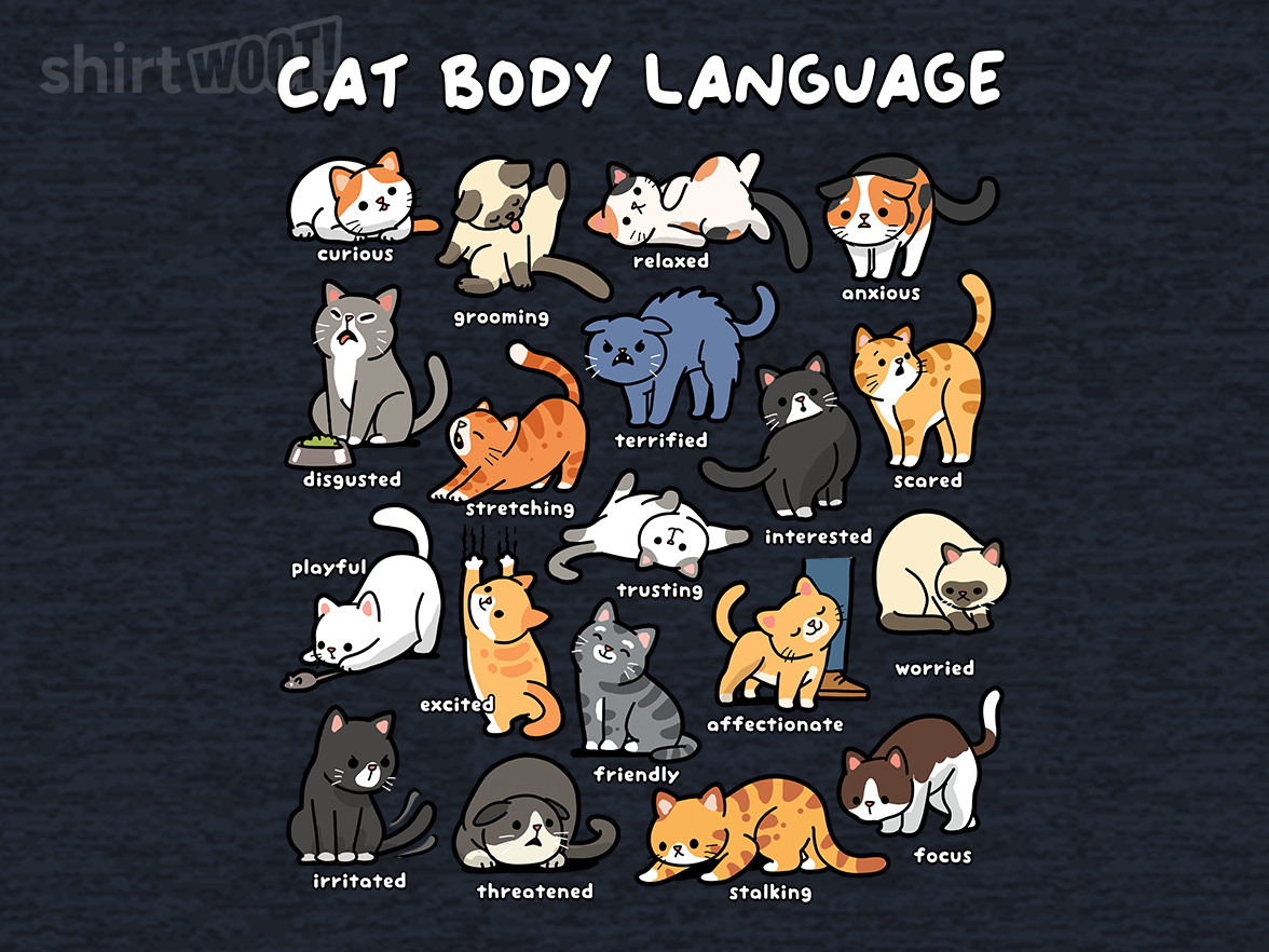 Cat Body Language - Gallery 4