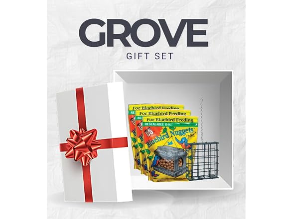 GROVE 3X C&S Bluebird Blueberry Suet Nuggets