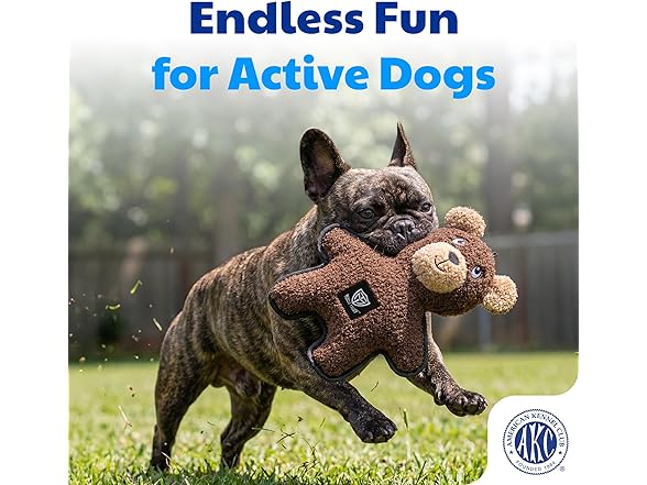 American Kennel Club Plush Dog Toy with Squeaker- Bear
