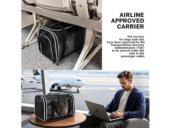 Cat Carrier Dog Carrier Pet Carriers