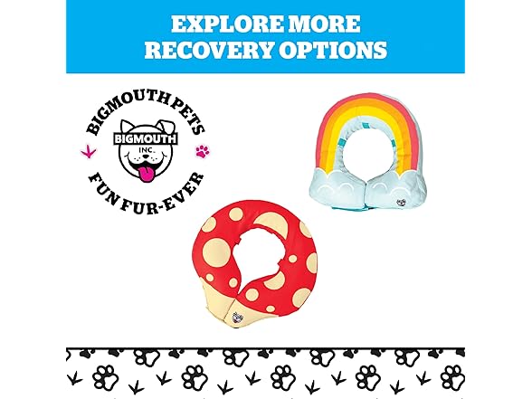 BigMouth Frog Inflatable Recovery Collar