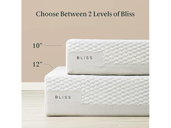 ZINUS 10" Bliss Memory Foam Twin Mattress
