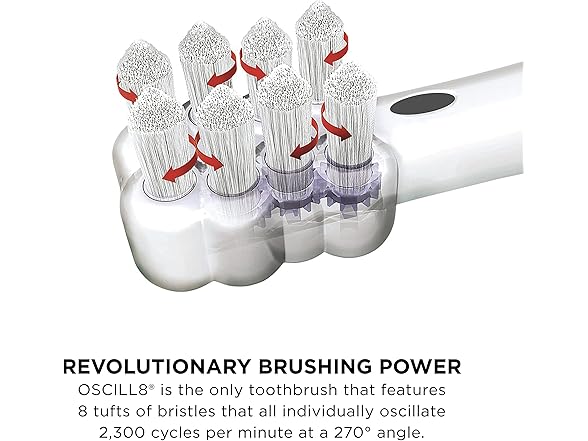 Battery Power Toothbrush w/ 2 Heads