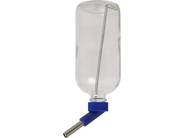 LIXIT Chew Proof Glass Water Bottle 16oz