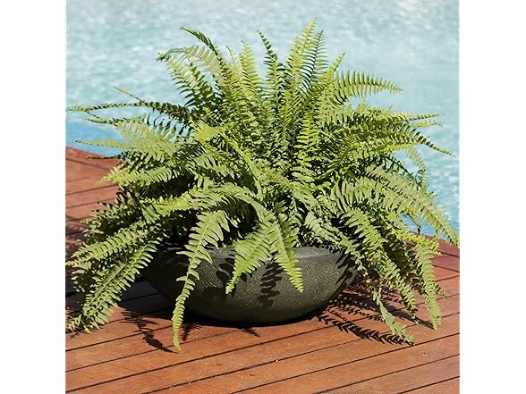 Sunnydaze Percival 20.75" Shallow Outdoor Planter Bowl - Sable
