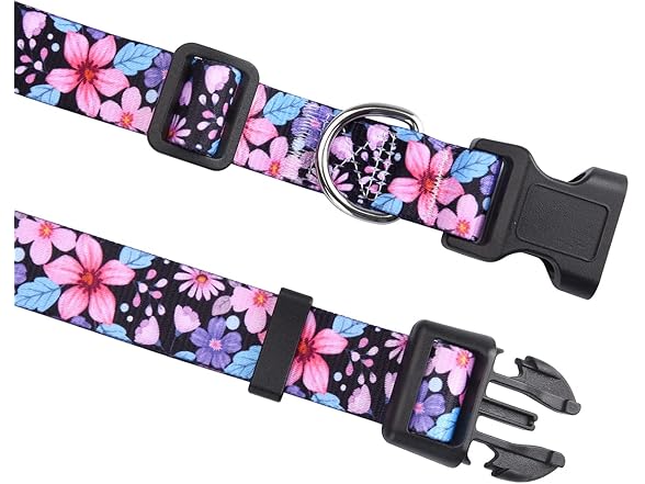 Dog Collar and Leash Set Floral A Set,XS