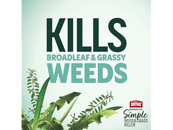 Ortho GroundClear Simple Weed and Grass Killer