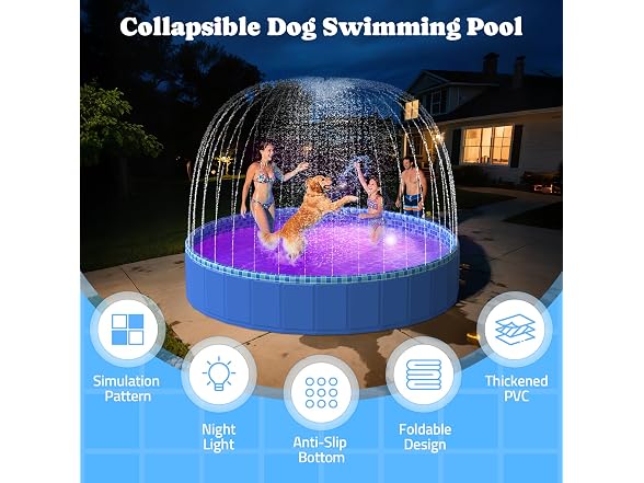 Pawtners Foldable Kiddie Pool