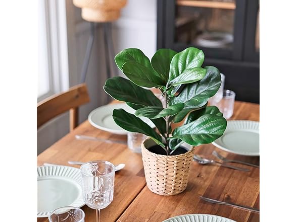 LuckyGreenery Artificial Small Fiddles