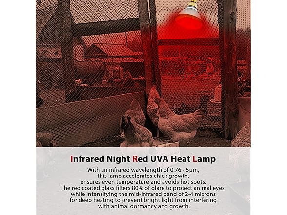 SFYJZJUUS 175 Heat Lamp Bulbs