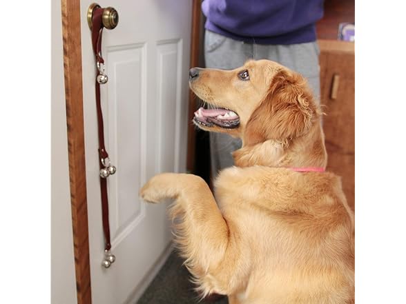 Leather Dog Doorbells to Go Outside