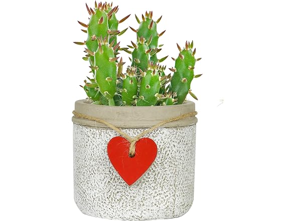 GROWSCAPE Heart Pot Planter Whitewash