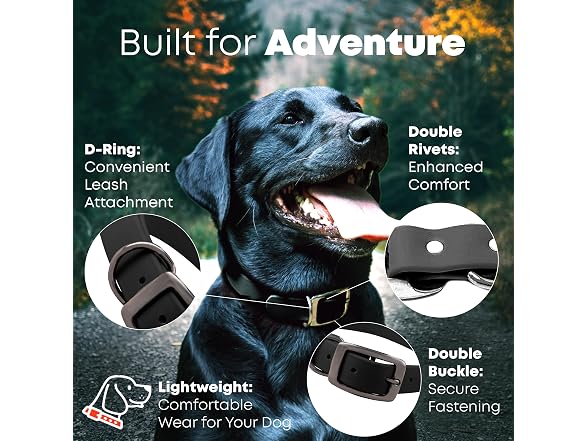 Regal Dog Products Waterproof Dog Collar, Vi