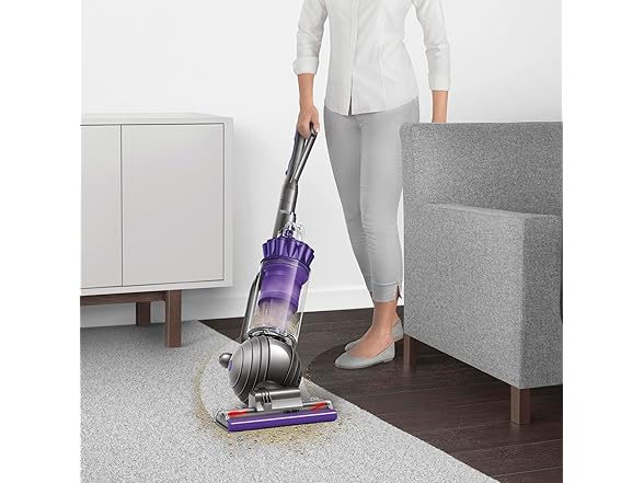Dyson Ball Animal 2 Upright Vacuum
