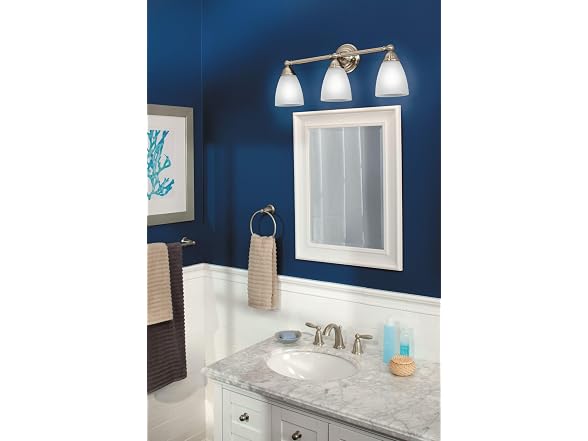 Moen Brantford Brushed Nickel 24-In Single Towel Bar