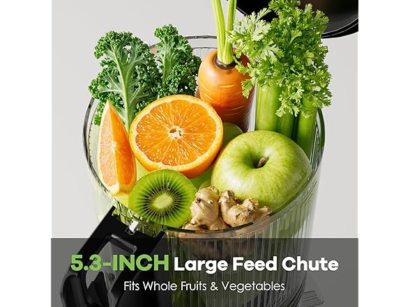 EanOruus Cold Press Juicer