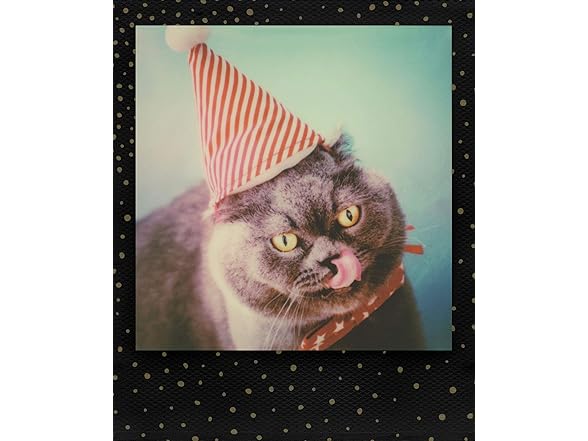 Polaroid Originals - 4932 - Color Film f