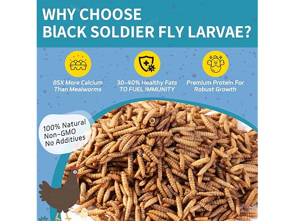 OHNAME 10LB Dried Black Soldier Fly