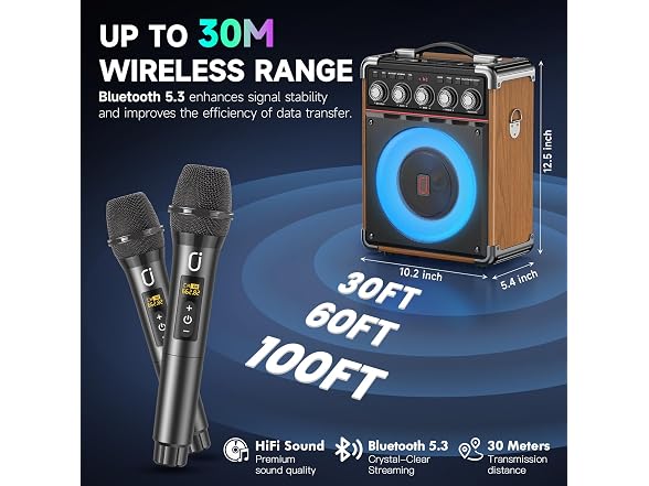 Karaoke Machine for Adults
