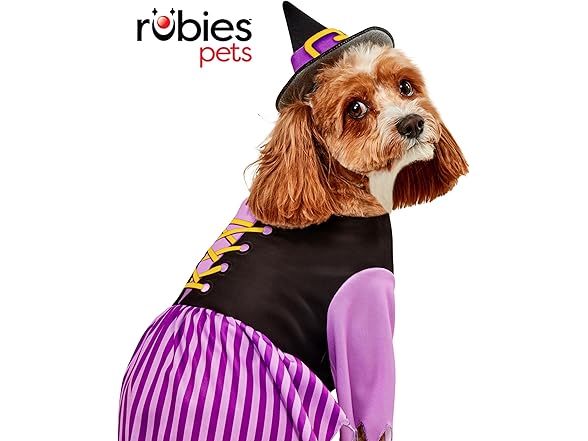 Rubies Witch Pet Costume for Dogs or Cats