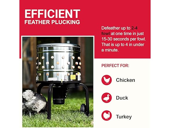 Kitchener Kitchener Chicken Plucker