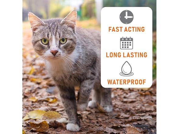 Pet Defender Plus for Cats & Kittens Flea & Tick Topical
