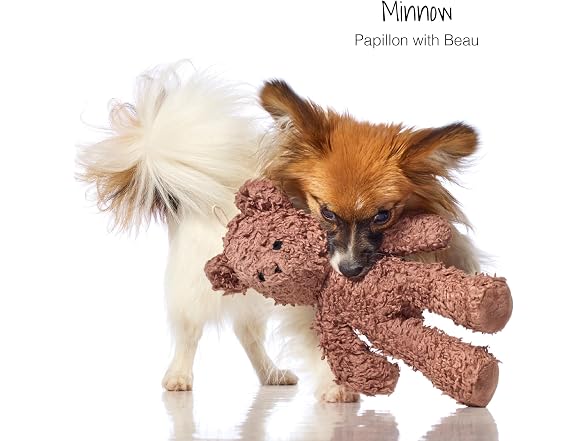 Pet Passion Plush Durable Cotton Dog Toys with Coconut Fill