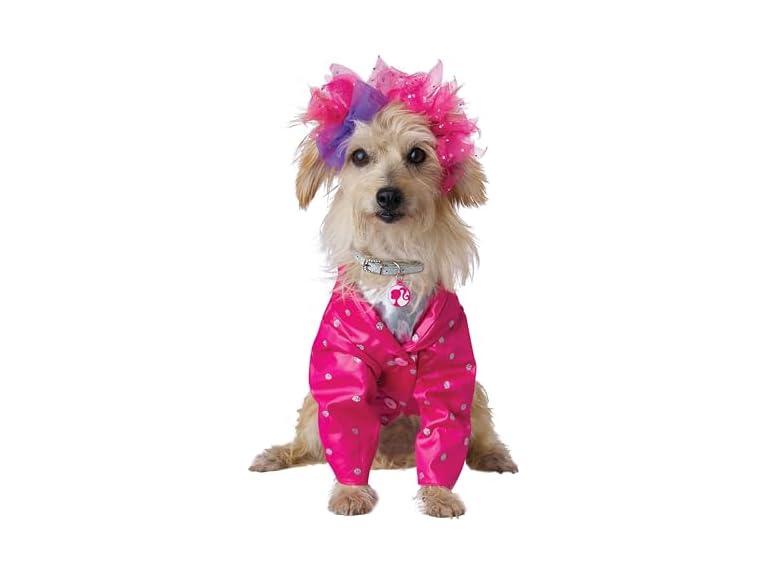California Costumes Barbie and The Rockers Dog Costume, X