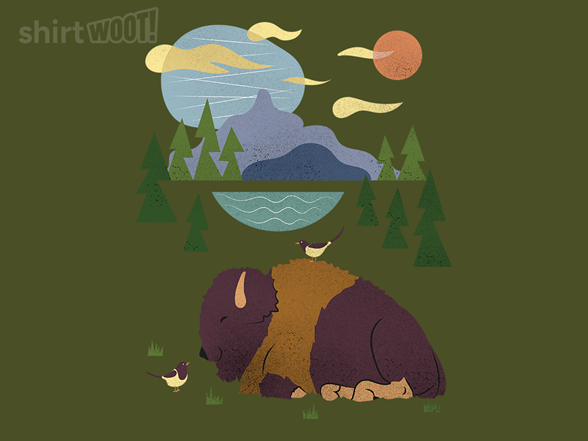 Lying Bison and Bird