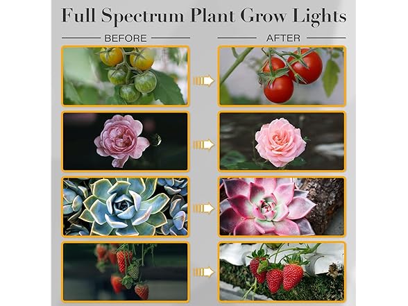 iPower Simple Deluxe LED Grow Lights, 2 Tubes