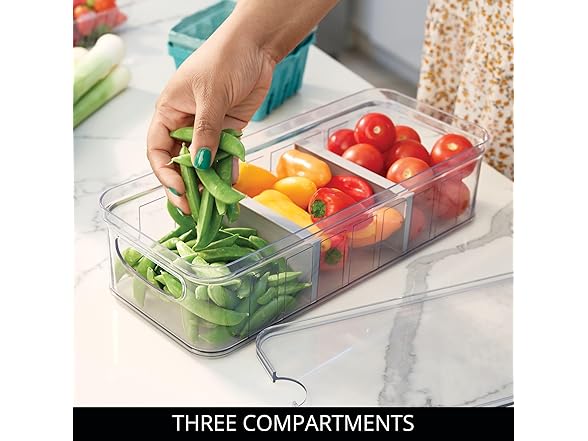 InterDesign iDesign Recycled Plastic Crisp Large Divided Fr