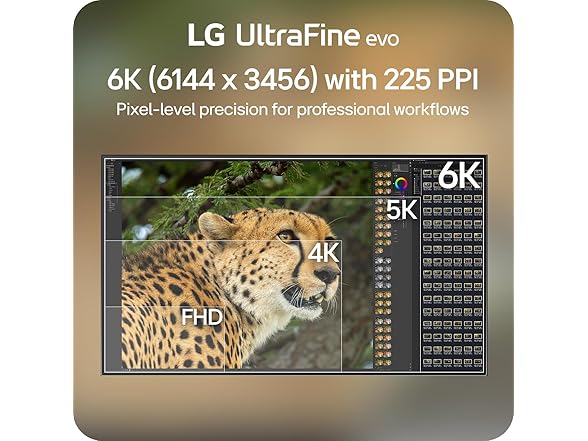LG 32" UltraFine evo 6K Nano 60Hz IPS Black Professional Monito