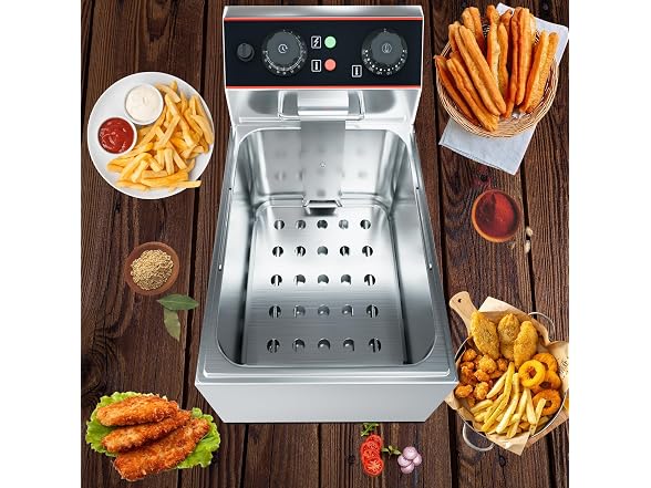 Professional Electric Deep Fryer for Home 8L